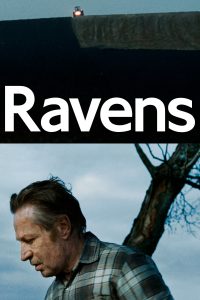 Poster Ravens