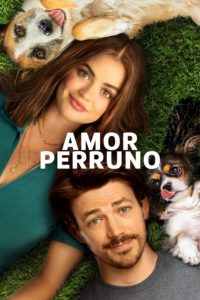 Poster Amor de Cachorros