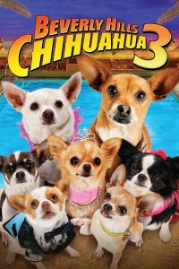 Poster Un Chihuahua en Beverly Hills 3: !Que viva la fiesta!