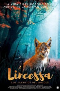 Poster Lincessa. Los silencios del bosque