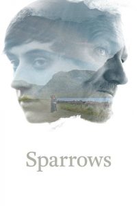 Poster Sparrows