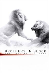 Poster Brothers in Blood: The Lions of Sabi Sand (El rey de la manada)