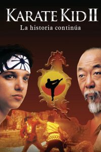 Poster Karate Kid II: la historia continúa