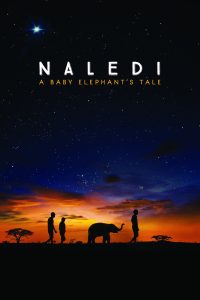 Poster Naledi, una Elefanta Bebé