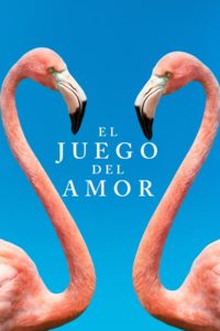 Poster El juego del amor