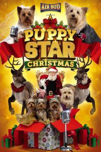 Poster Puppy Star Christmas